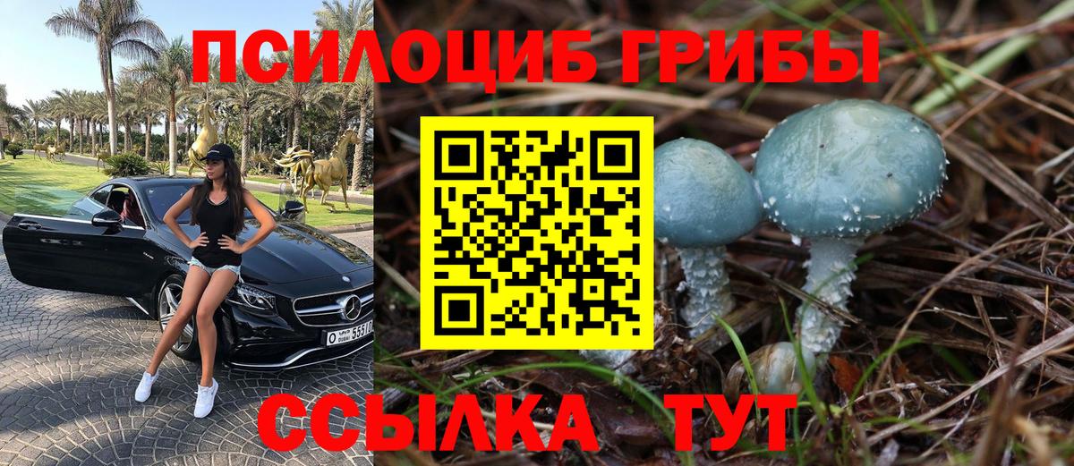 Клин  Псилоцибиновые грибы MAGIC MUSHROOMS  Вход с VPN 